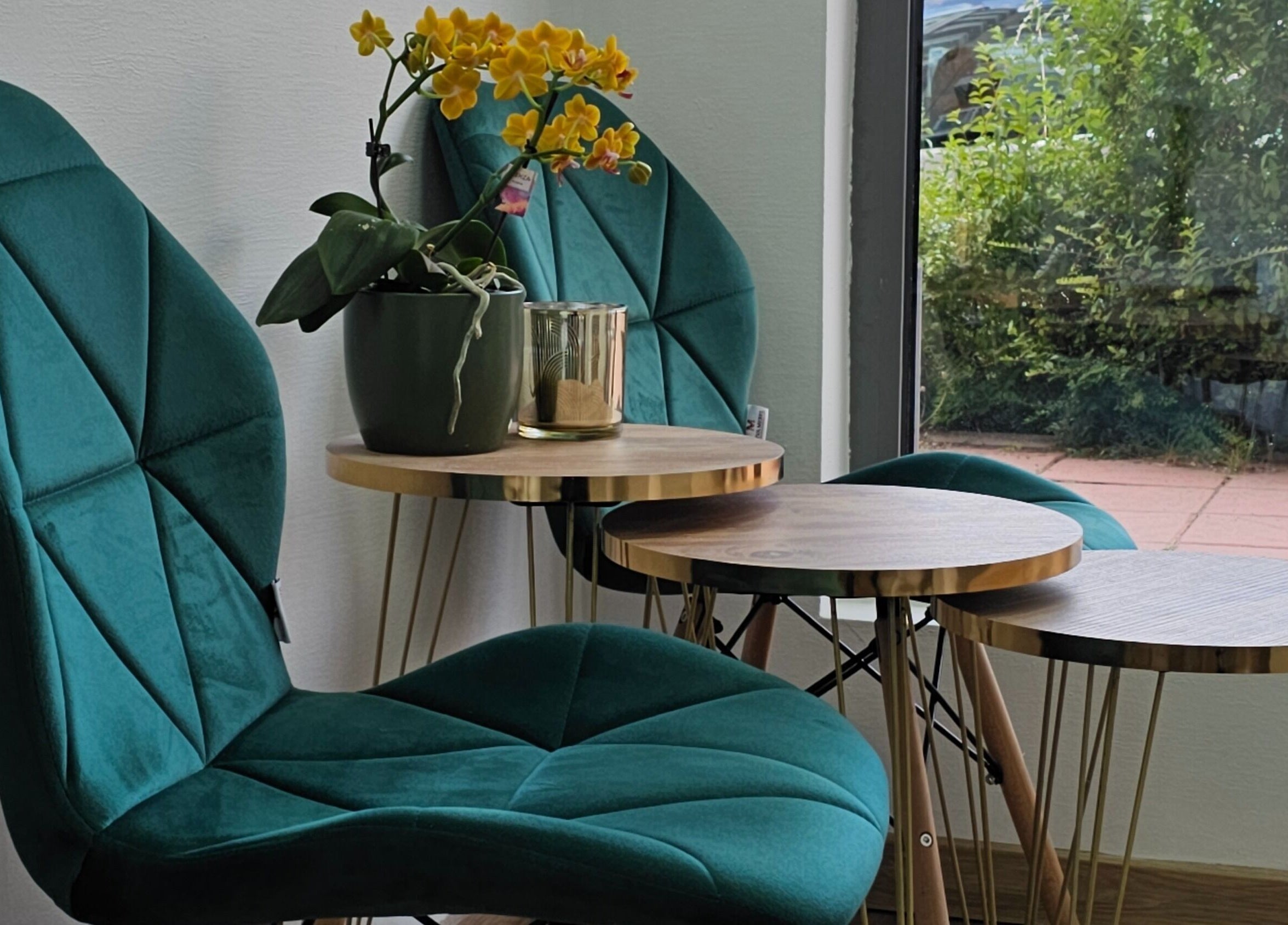 Уютен салон в Polish Pop, Русе, България с модерни зелени кресла и орхидеи.