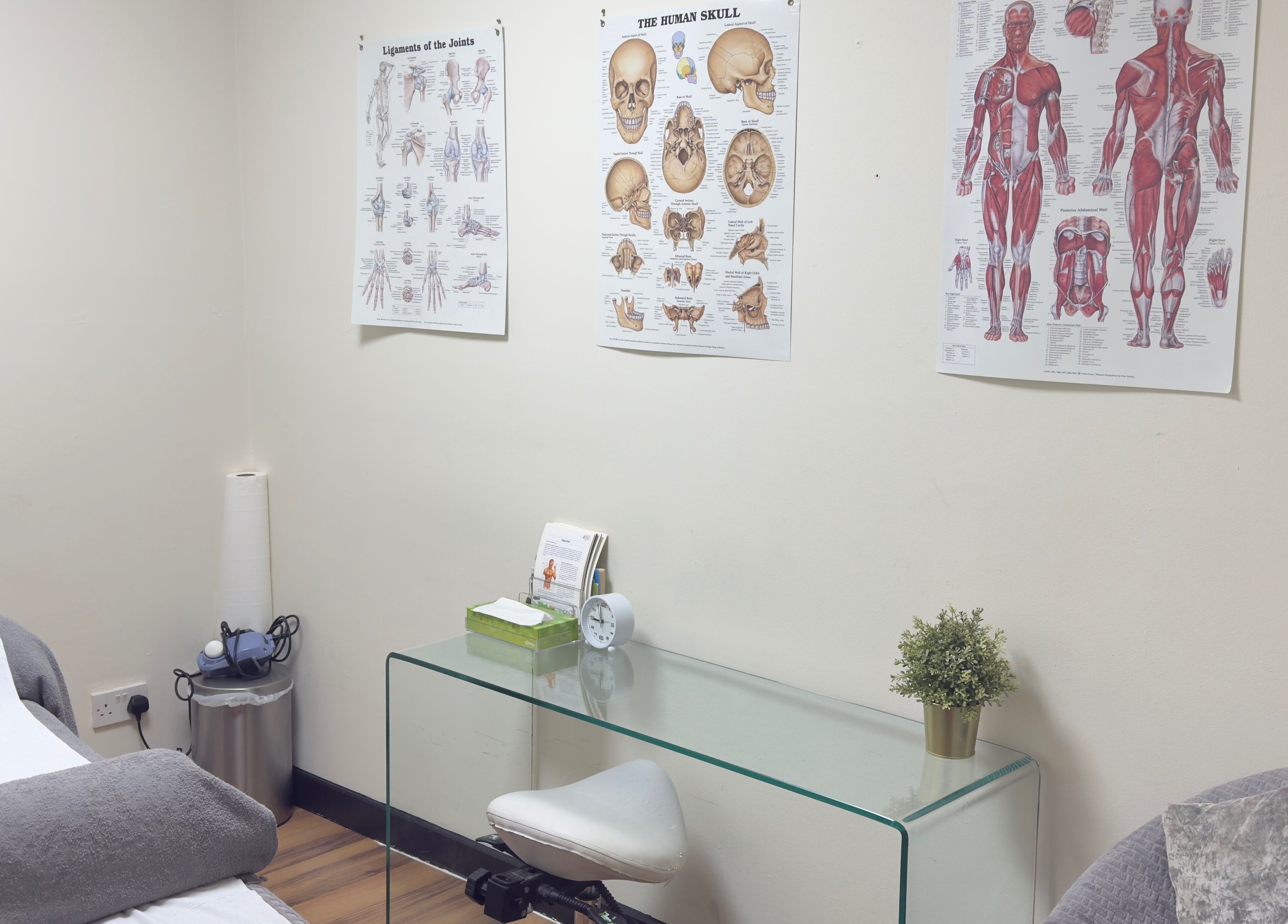 Treatment room at Mistry Osteopath South Ealing in London, England, GB featuring anatomical charts and cozy ambiance.