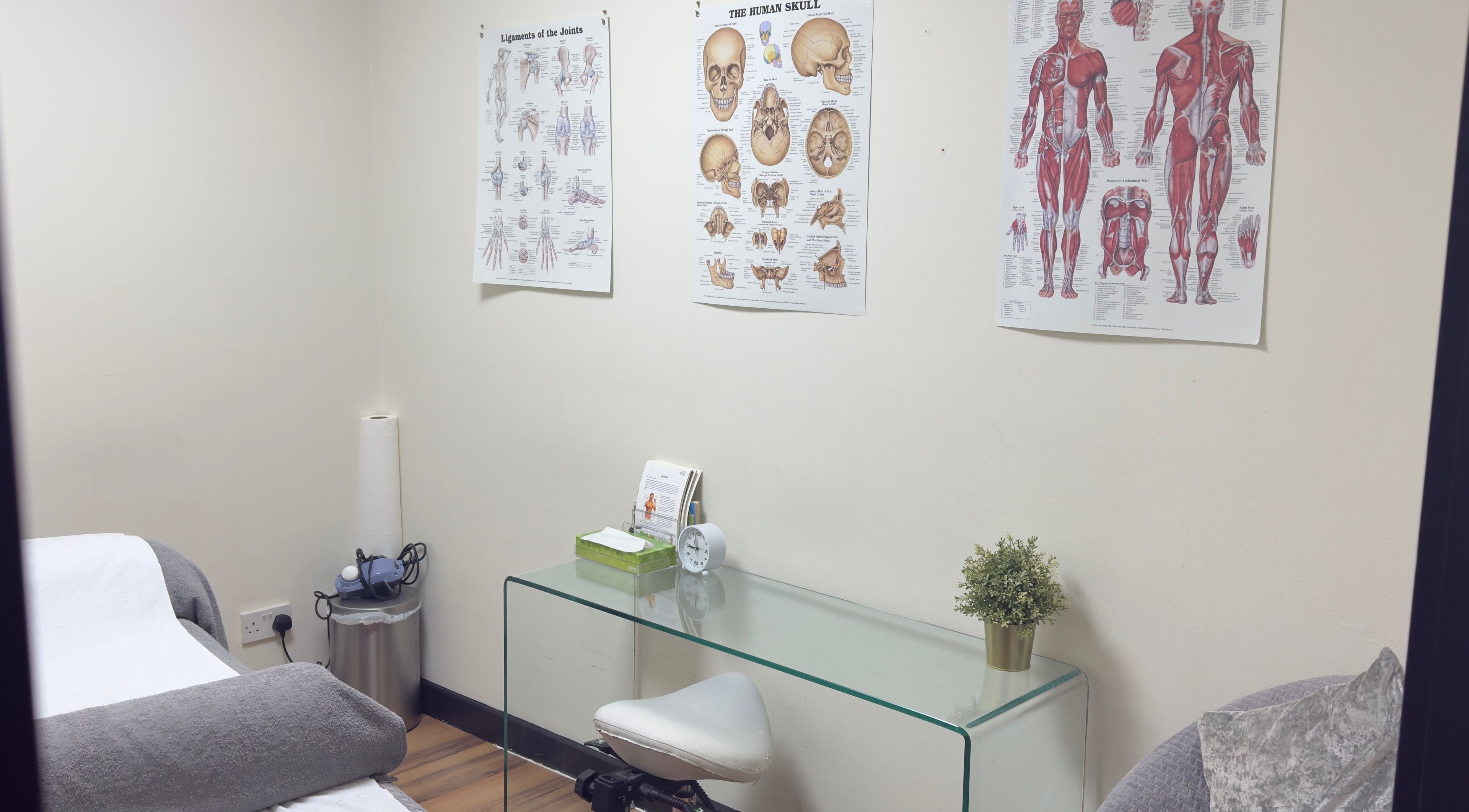 Treatment room at Mistry Osteopath South Ealing in London, England, GB featuring anatomical charts and cozy ambiance.