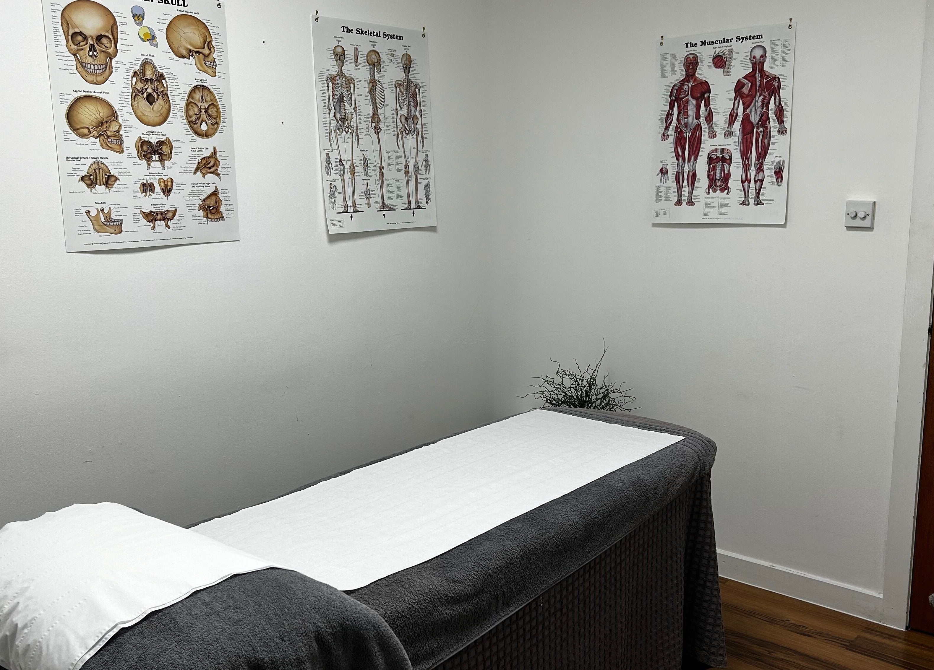 Therapy room at Mistry Osteopath South Ealing with anatomical posters, located in London, England, GB.