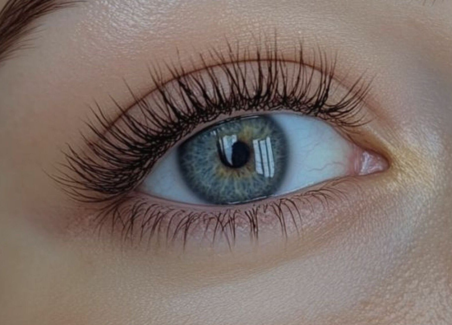 Close-up of a beautifully enhanced eye, showcasing lash extensions at Palette Co, West End, Queensland, AU.