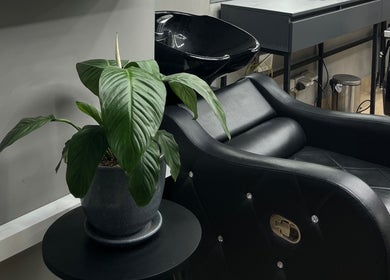 Silla de peluquería y planta en Victory Barber Studio, Miraflores, Provincia De Lima, PE.