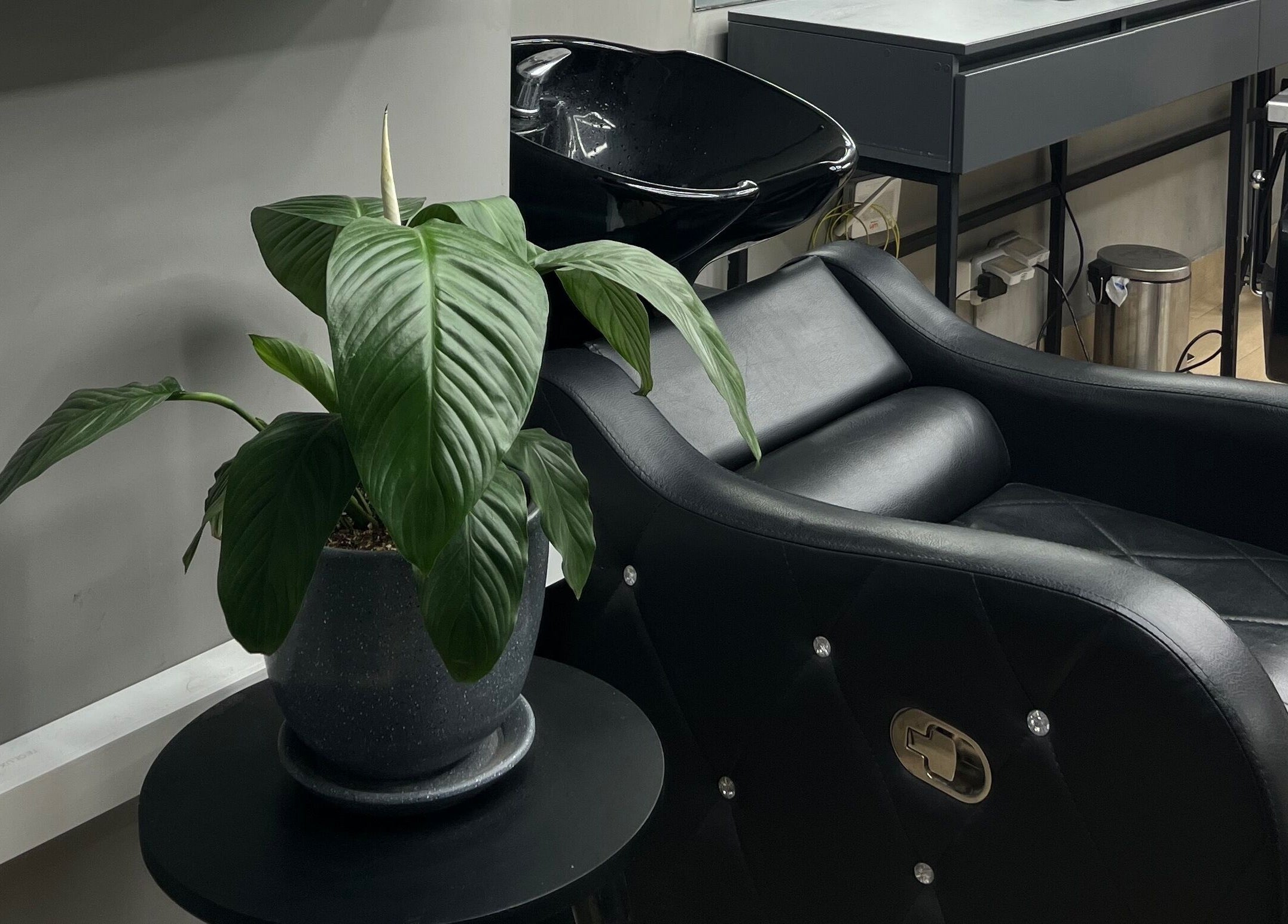 Silla de peluquería y planta en Victory Barber Studio, Miraflores, Provincia De Lima, PE.