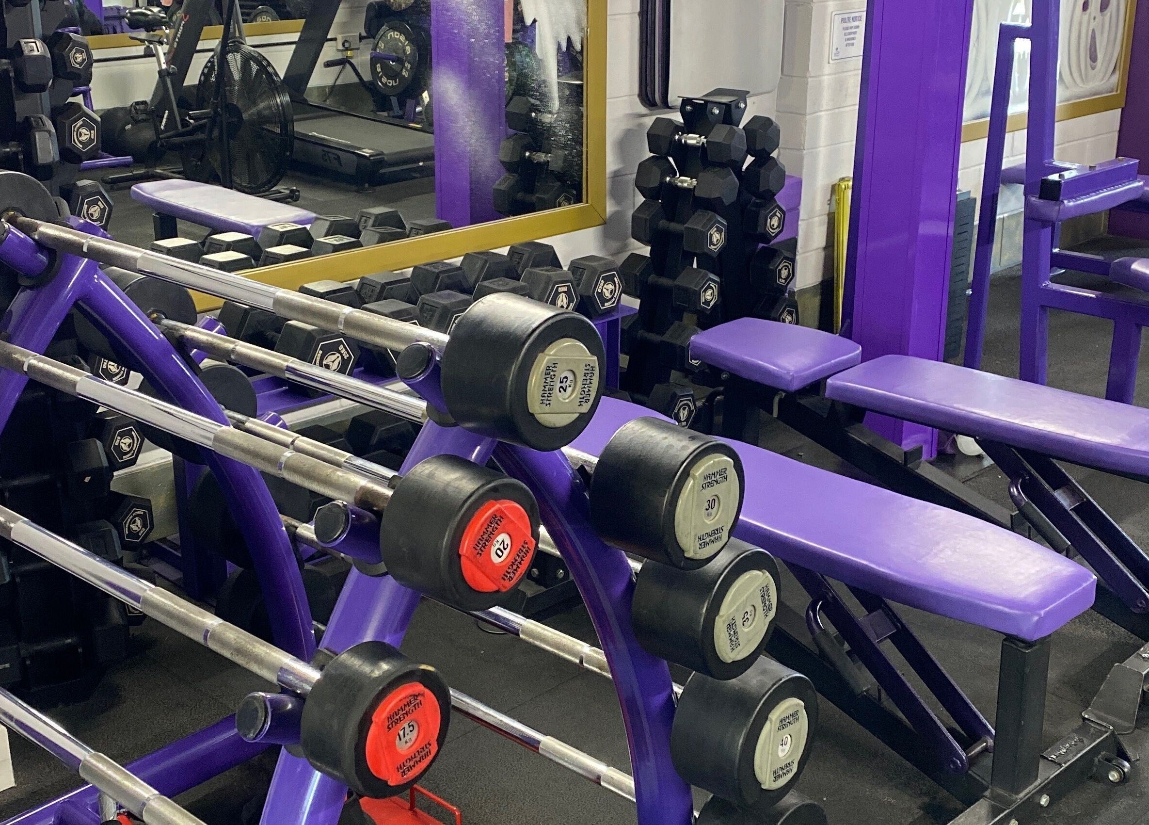 Well-equipped gym at Fibres Sports Massage Therapy, Alcester, England, GB with weights and benches.