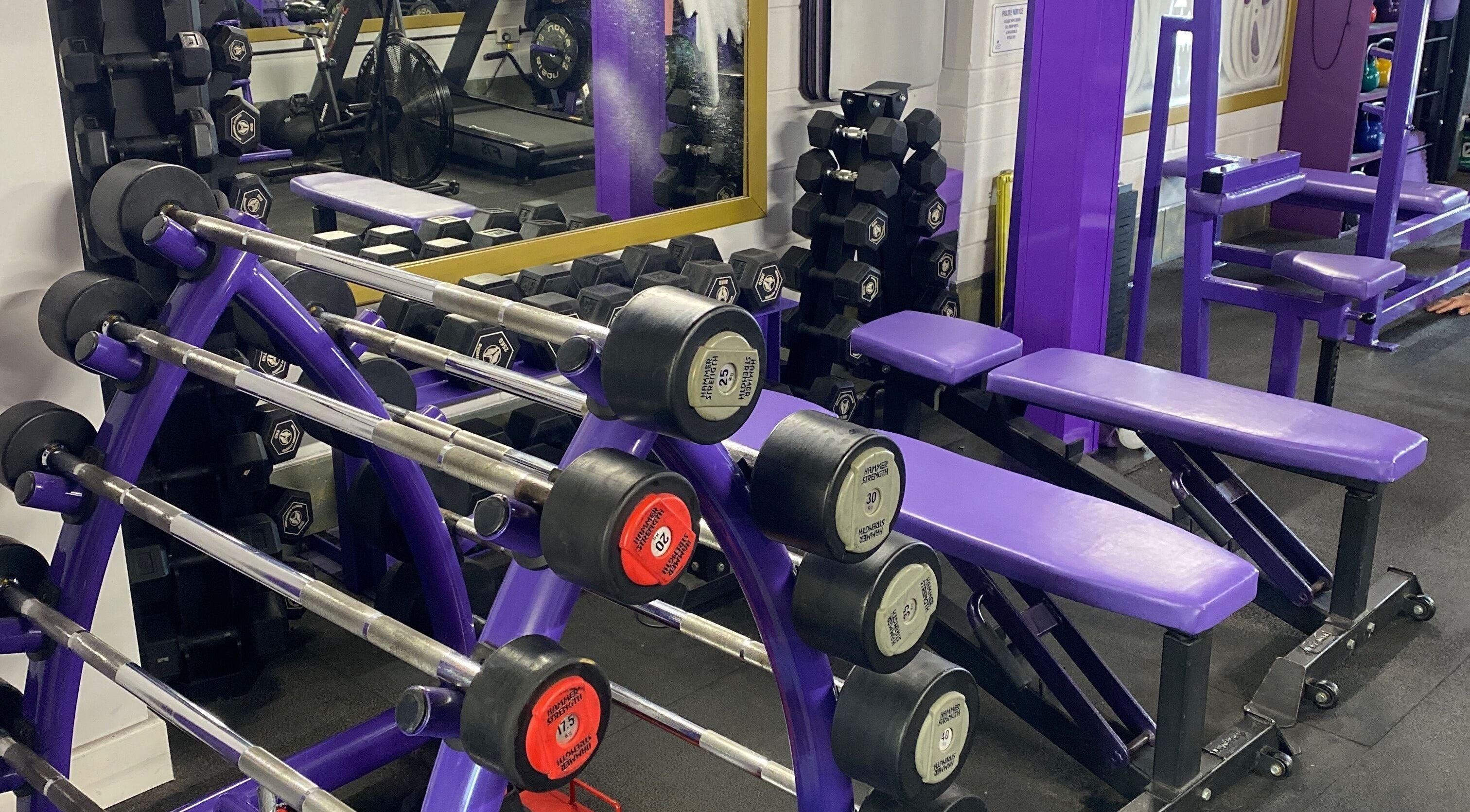 Well-equipped gym at Fibres Sports Massage Therapy, Alcester, England, GB with weights and benches.