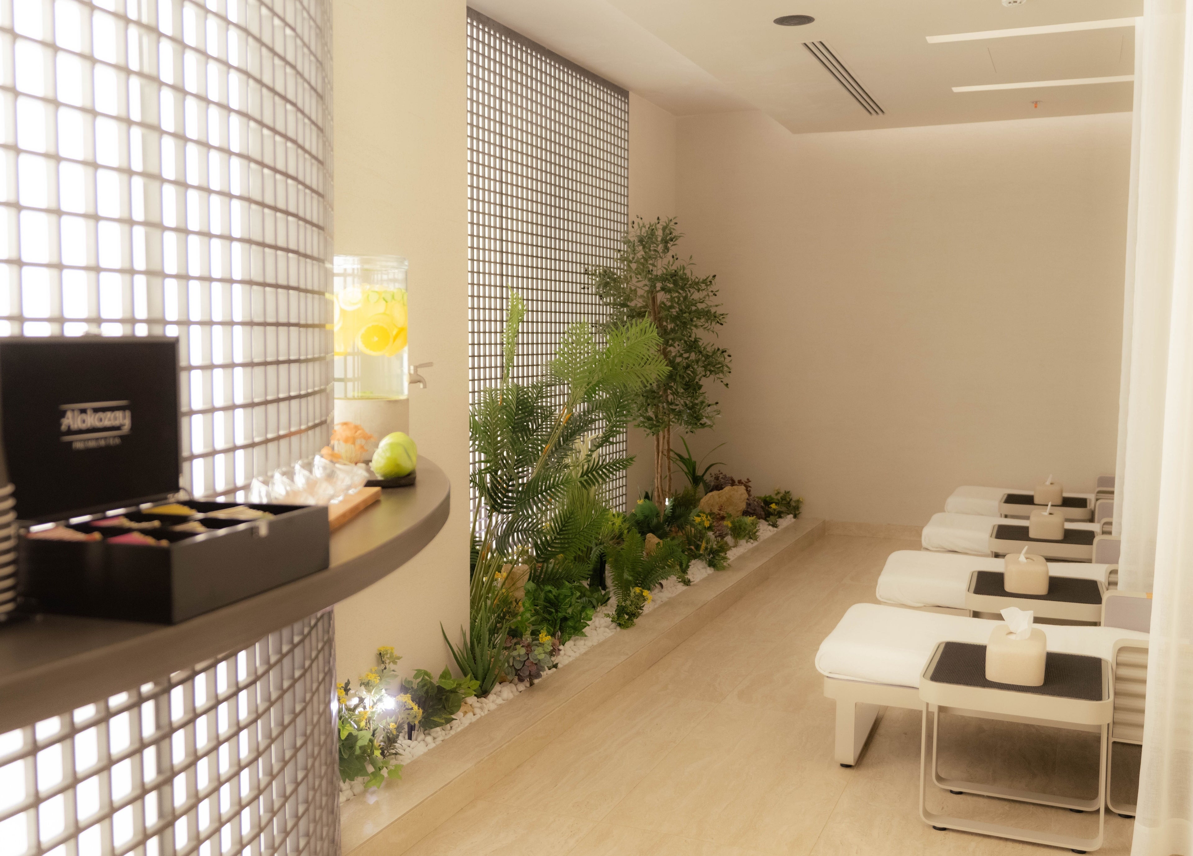 Relaxing lounge area at Alpha Spa, Riyadh, Riyadh Province, SA, featuring soothing plants and serene lighting.