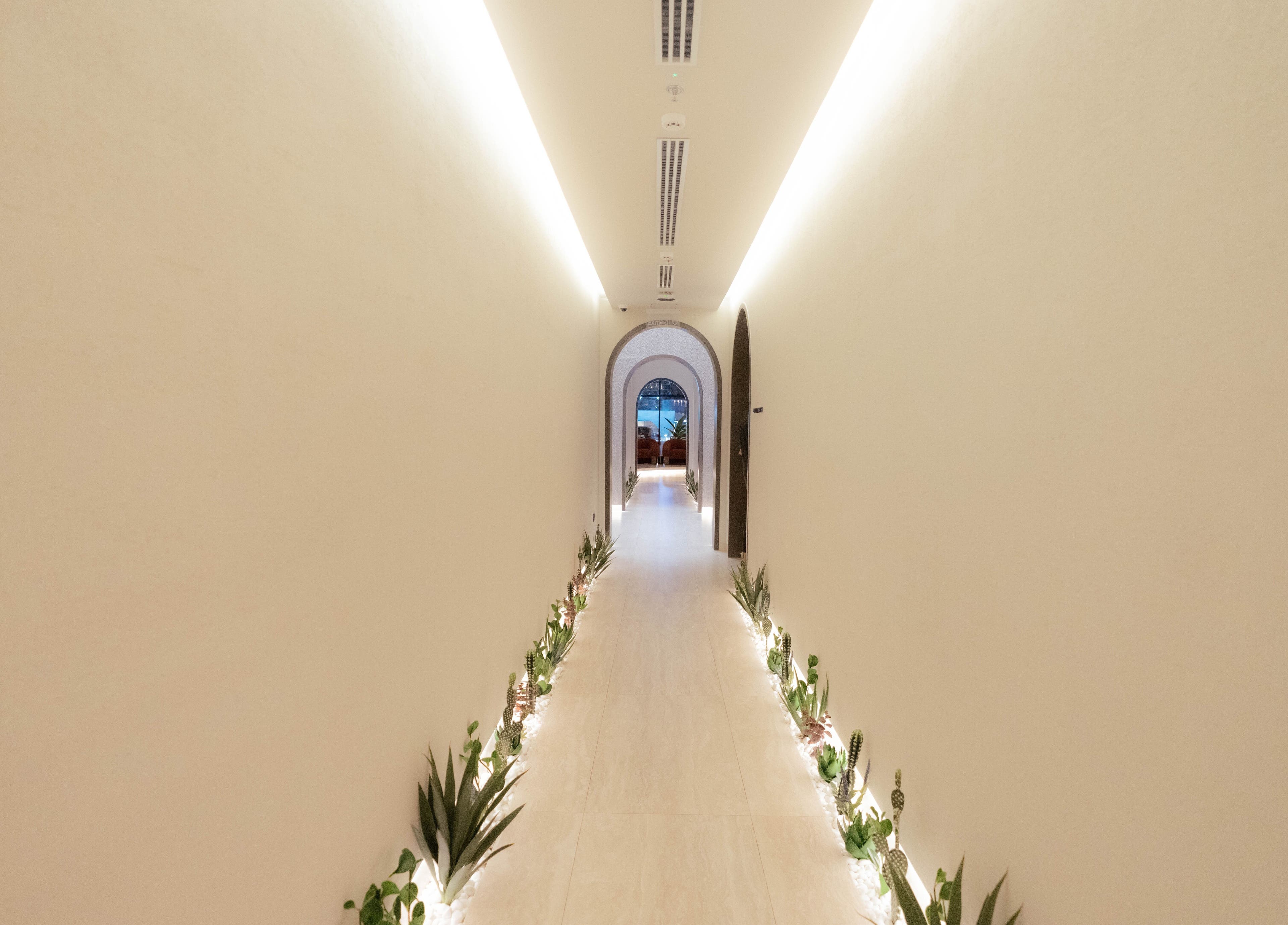 Serene hallway at Alpha Spa, Riyadh, Riyadh Province, SA, adorned with soft lighting and plants.