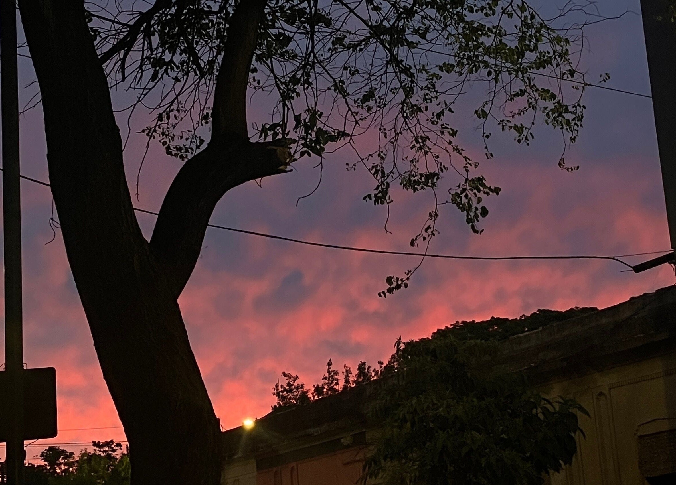 Atardecer rosado sobre Jyc Studio en La Plata, Provincia De Buenos Aires, AR.