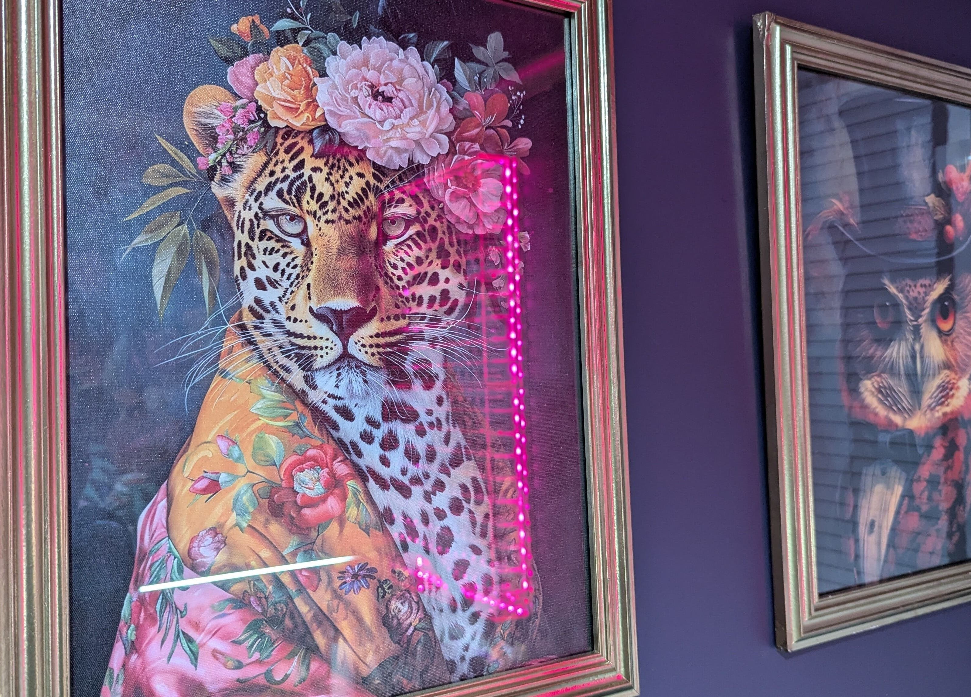 Framed leopard and owl art at The Nailbox Netherton, Dudley, England, GB, adding vibrant flair to the venue.