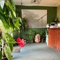 Healing Hands Wellness Center
