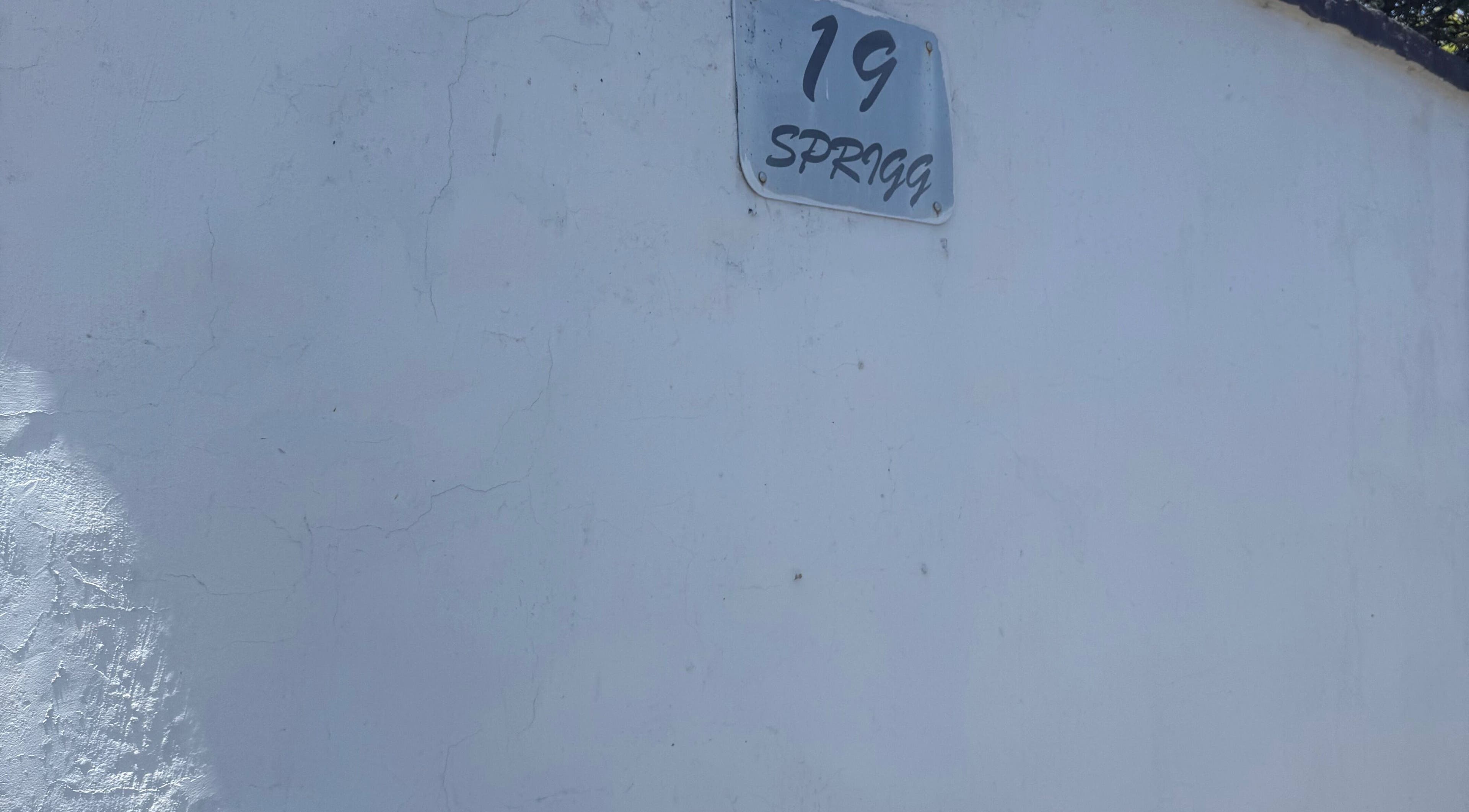 Street sign for 19 Sprigg, marking AM BEAUTY's location in East London, Eastern Cape, ZA.