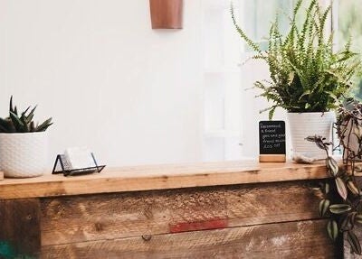 Charming front desk at The Root, Harpenden, England, GB with plants and rustic wood decor.