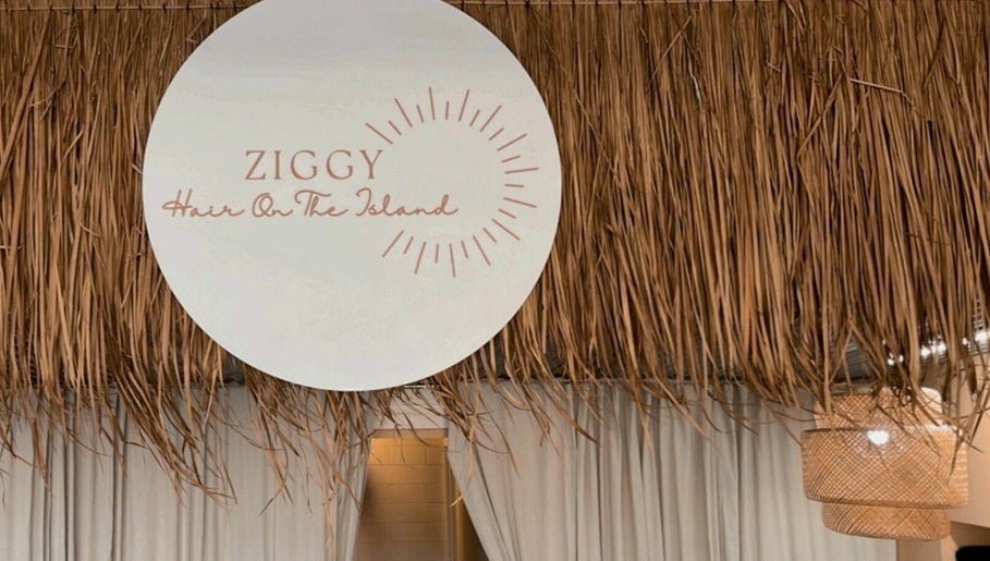 Ziggy Hair On The Island obrázek 1