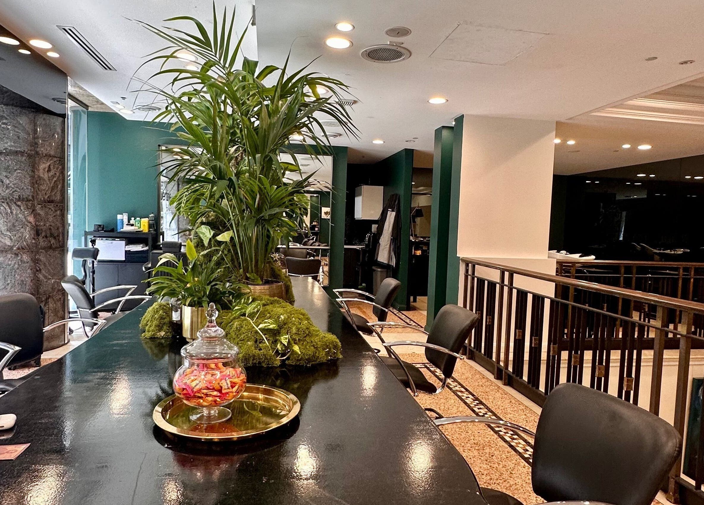 Interior of Hair By Shlomi in Sydney, New South Wales, AU, showcasing modern chairs and lush plants.