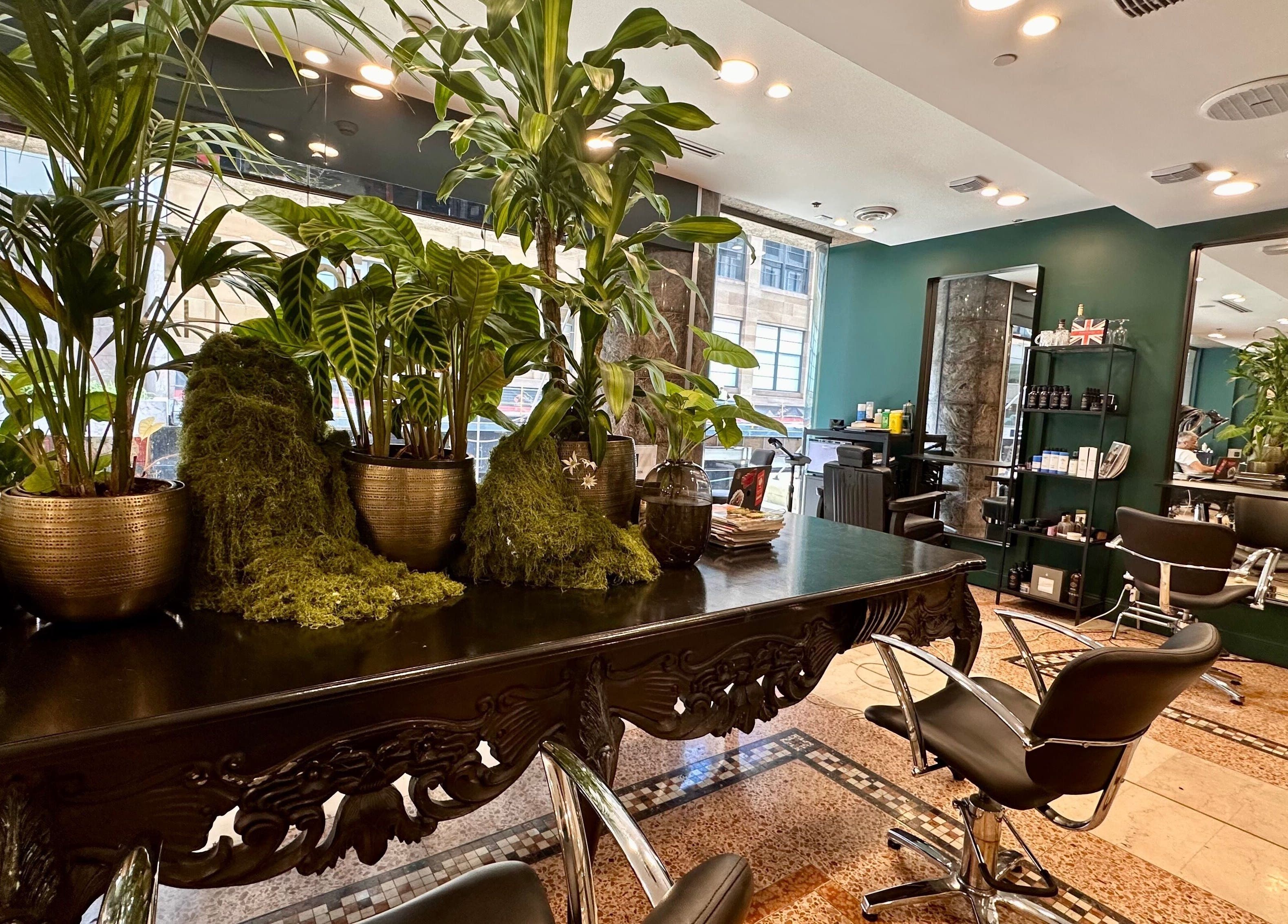 Elegant green salon interior at Hair By Shlomi, Sydney, New South Wales, AU with stylish chairs and plants.