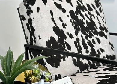 Stylish cowhide chair at Mysa Studio, Orpington, England, GB with succulent accent.