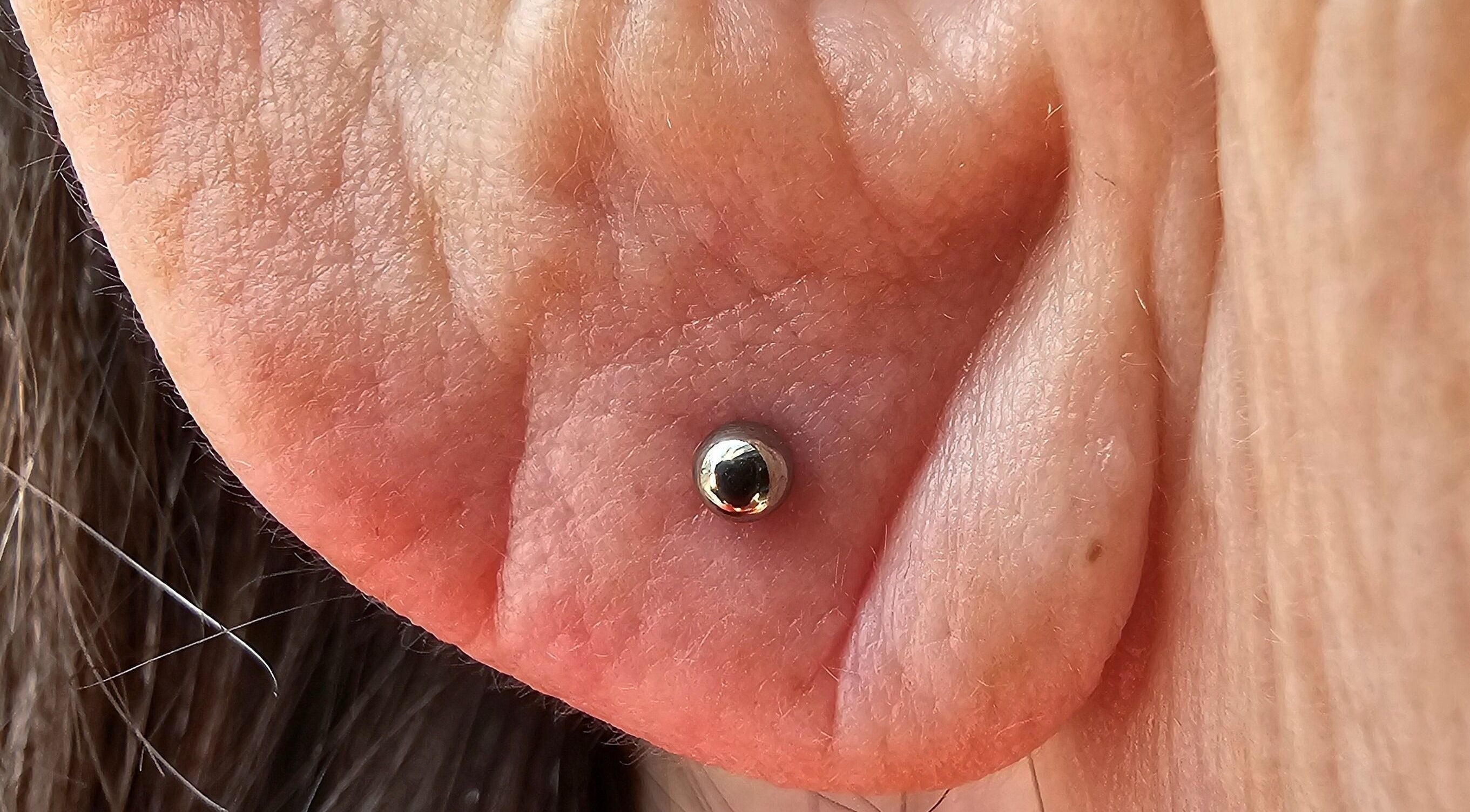 Polished ear lobe piercing at Sharp Art Body Piercing, Langport, England, GB showcasing precision and style.