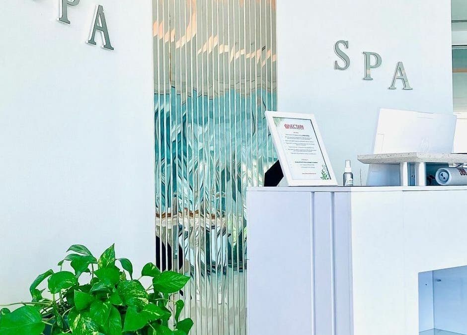 Reception area at Nectar Spa at the Cliff in Sint Maarten, SX showcasing a tranquil, modern decor.