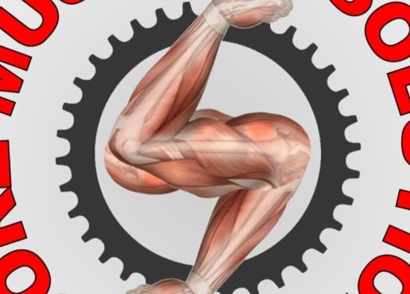 Sore Muscles Solution Ltd. logo in Edmonton, Alberta, CA, showcasing muscle relief focus.