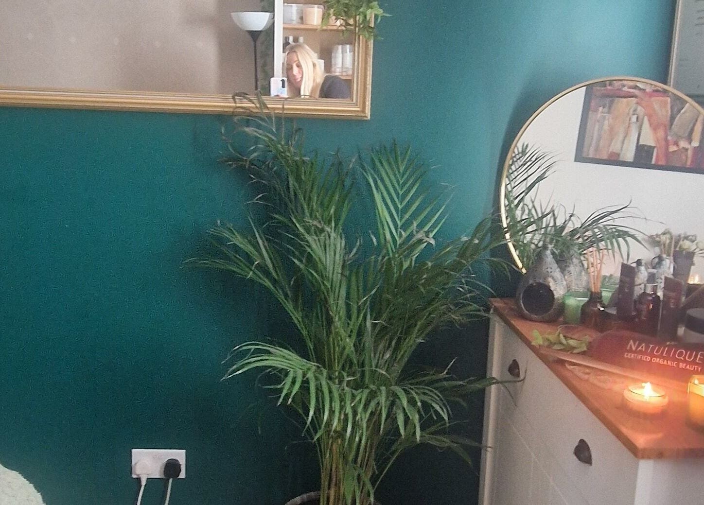 Tranquil corner at Human Balance, showcasing lush plant and warm candlelight in Glasgow, Scotland, GB.