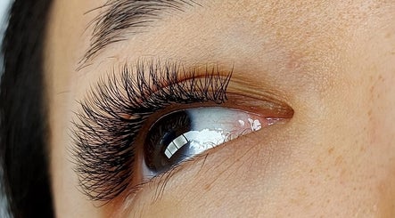 Figueiredo Lash image 2