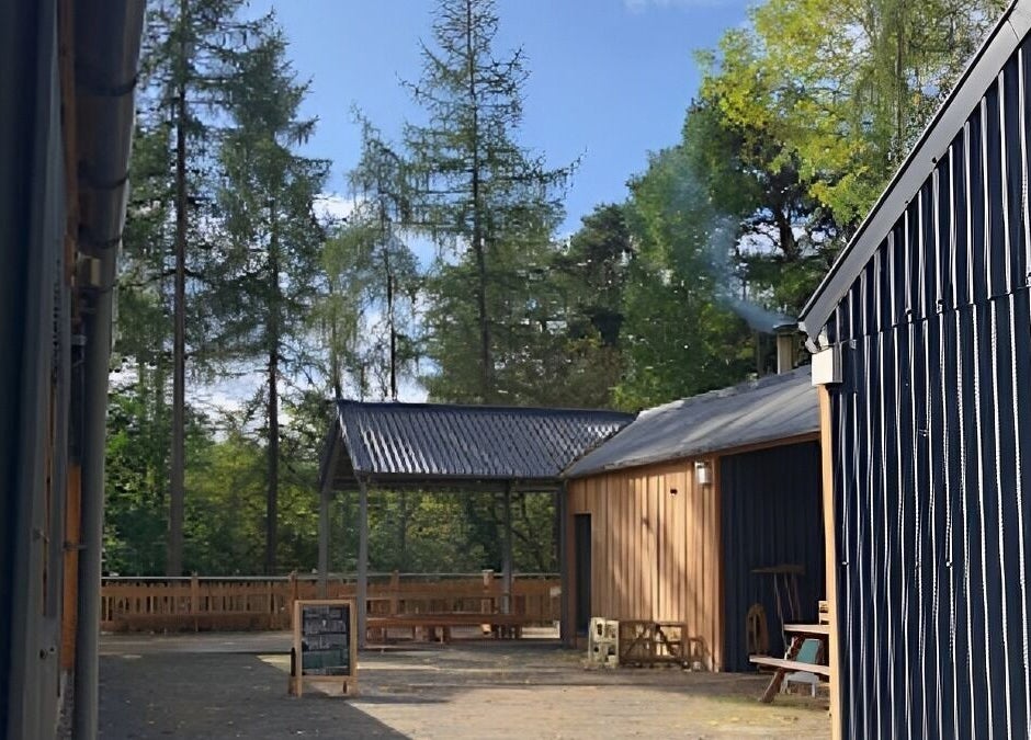 New Chapter Massage at Larchwood Studio in Hay-on-Wye, Wales, GB, surrounded by tranquil trees and wooden buildings.