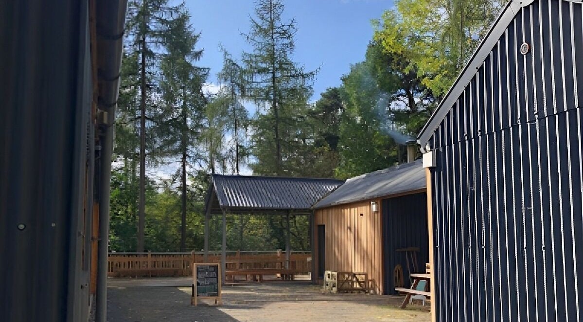 New Chapter Massage at Larchwood Studio in Hay-on-Wye, Wales, GB, surrounded by tranquil trees and wooden buildings.