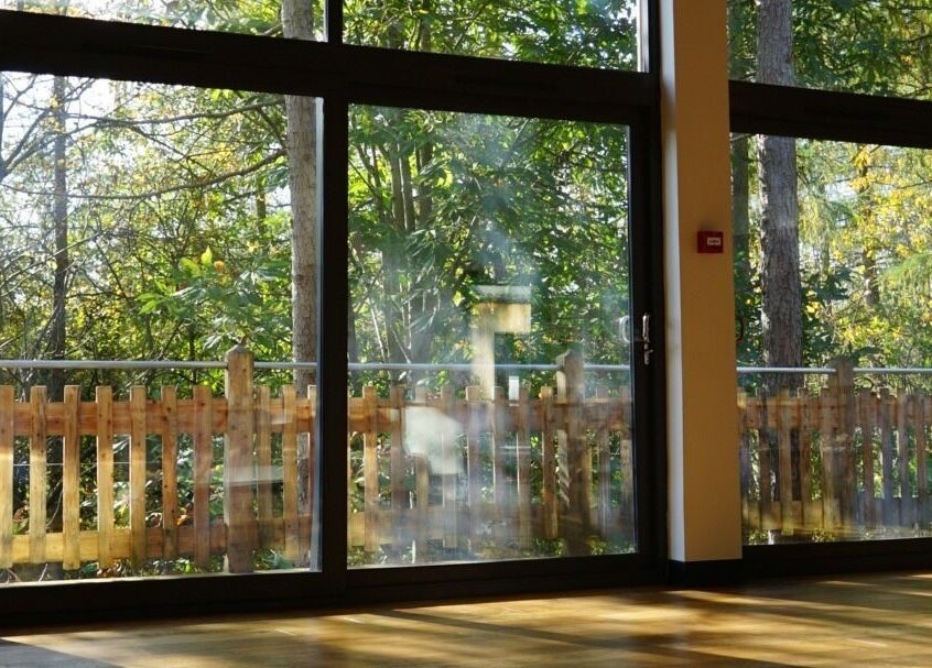 Tranquil forest view from New Chapter Massage at Larchwood Studio, Hay-on-wye, Wales, GB, creates a serene atmosphere.