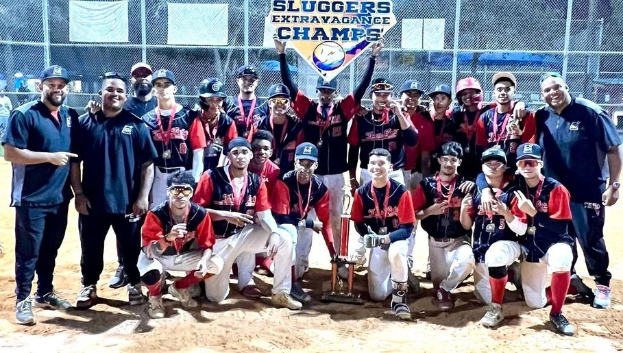 PEÑA BASEBALL ACADEMY imej 1