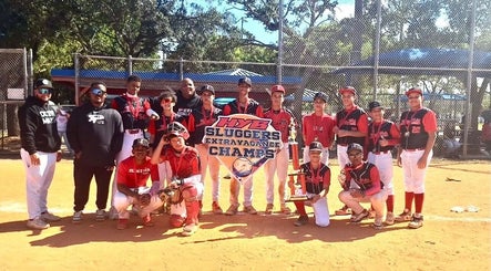 PEÑA BASEBALL ACADEMY imej 2