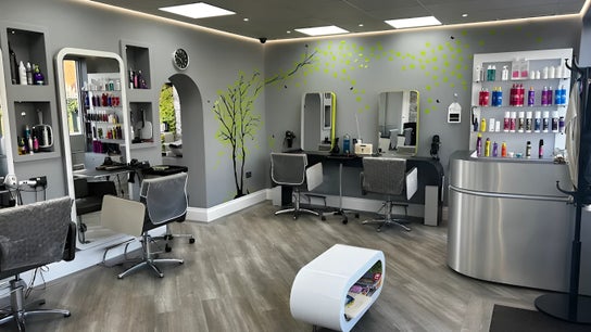 Tangled Hair Studio