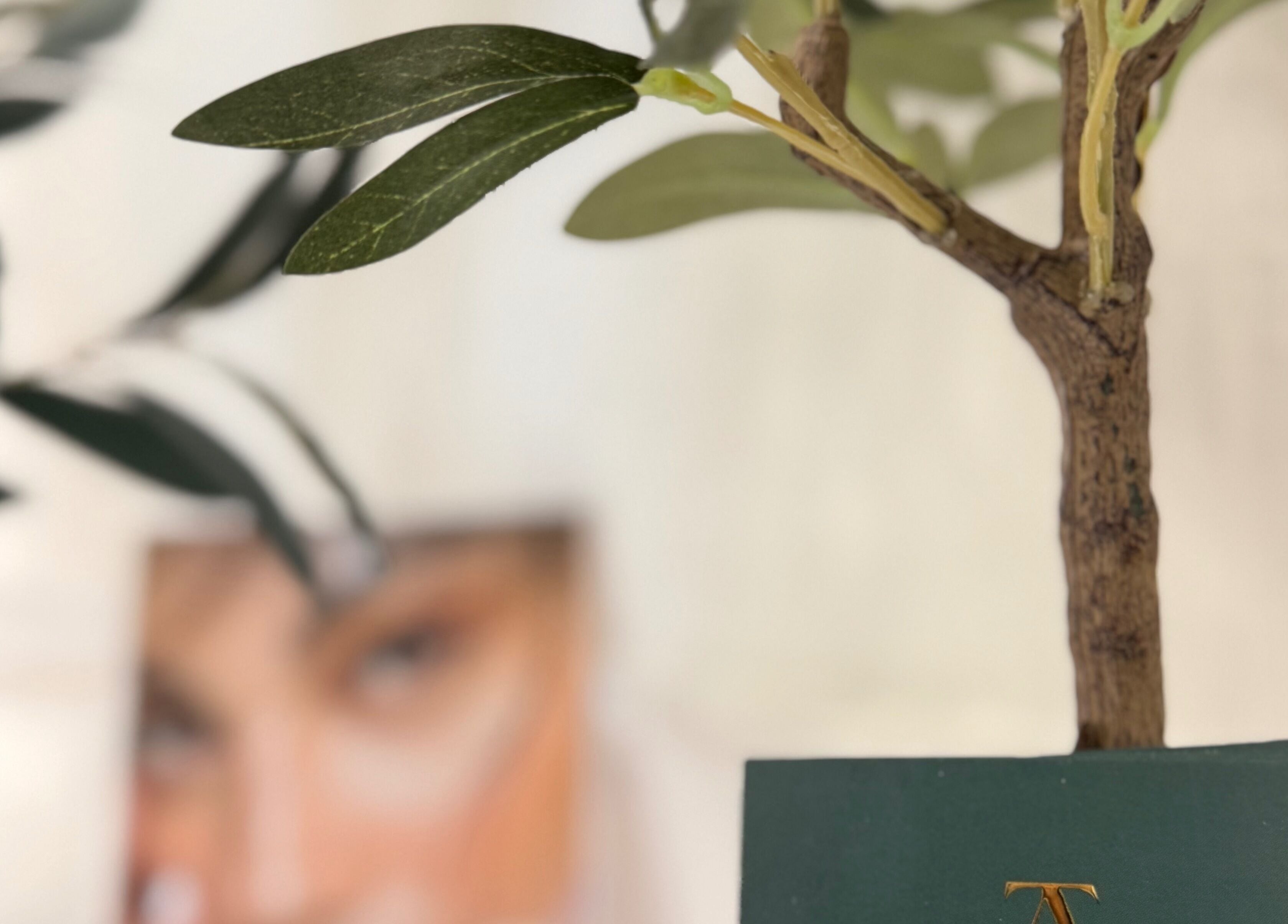 Botanical decor at DrTA Clinic in Bathpool, England, GB with a focus on peace and wellness.