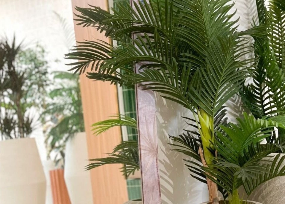 Vaya Salon in Riyadh, SA showcases elegant indoor plants for a serene ambiance.