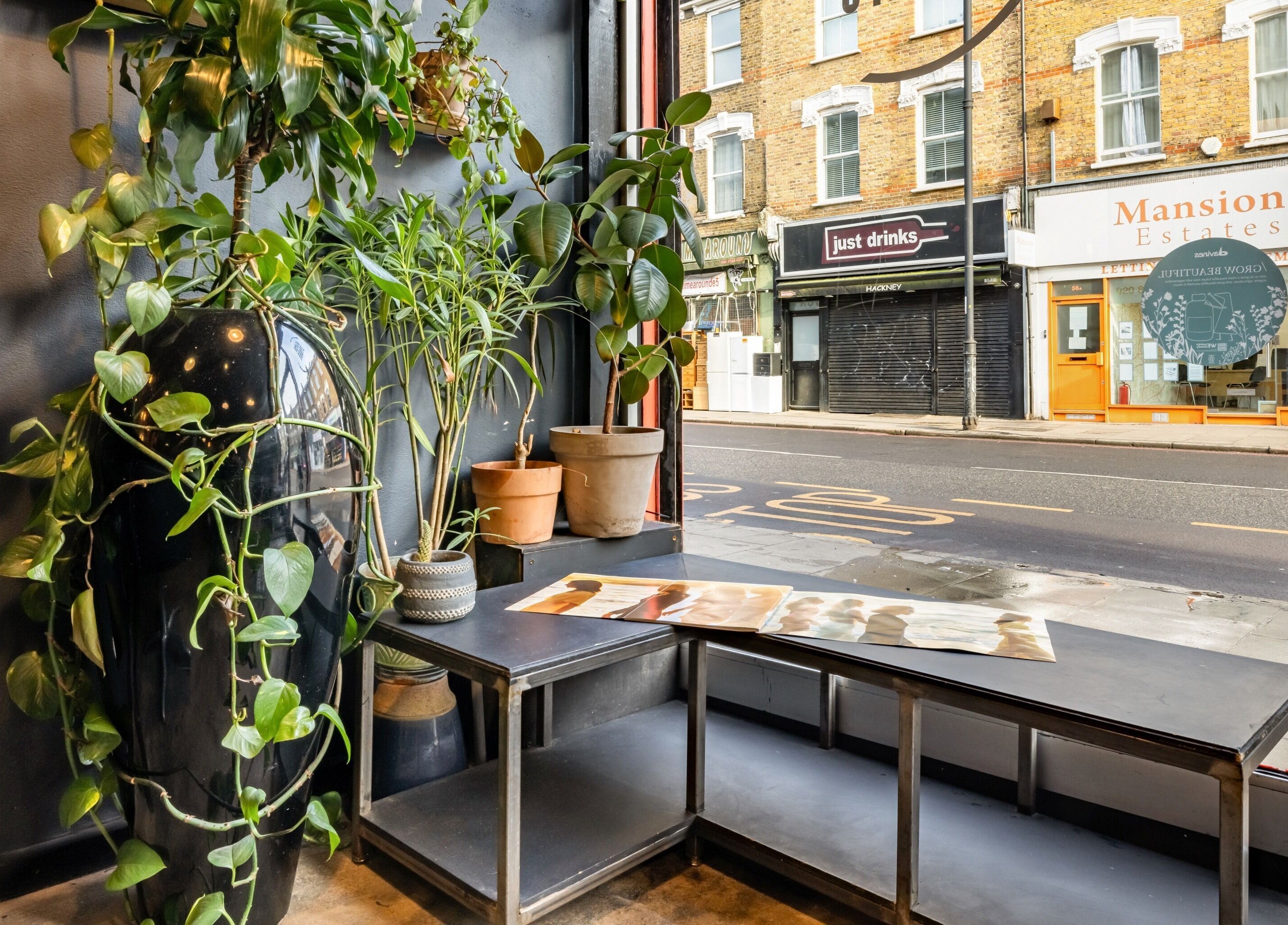 Lush green plants in Rust & Roots' London window, showcasing a peaceful urban vibe. Location: London, England, GB.