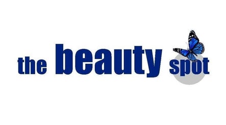Logo for The Beauty Spot & Skincare Centre, Falkirk, Scotland, GB with a butterfly design.
