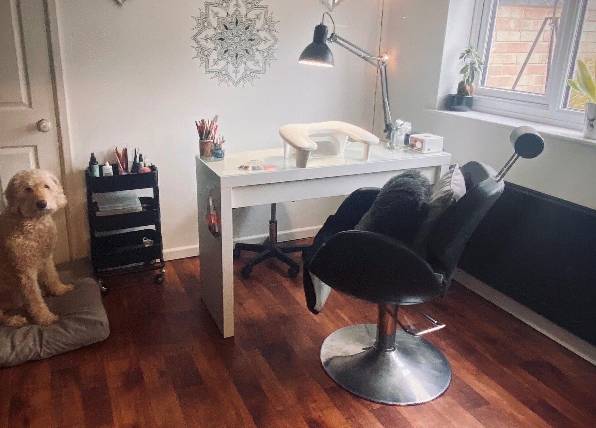 Nikki Halcoop Beauty salon in Donnington, England with a stylish desk, chair, and a friendly dog beside it.