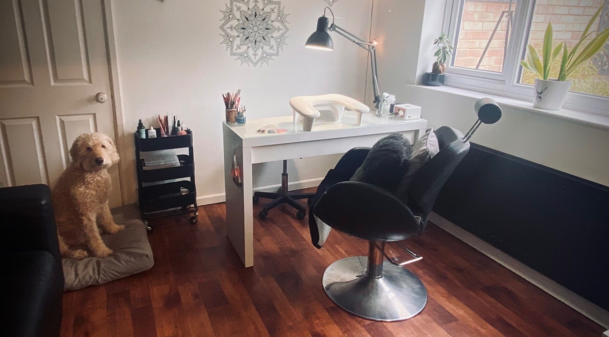 Nikki Halcoop Beauty salon in Donnington, England with a stylish desk, chair, and a friendly dog beside it.