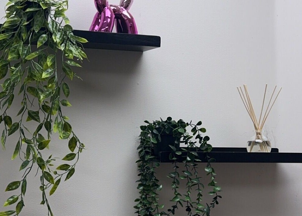 Decorative plant shelves at Beauty Girl Studios, Toronto, Ontario, CA, enhancing a serene and modern ambiance.