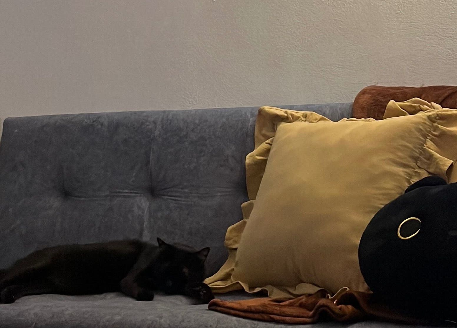 Comfortable seating area with decor pillows and a cat at Aeonian Nails, Petaling Jaya, Selangor, MY.