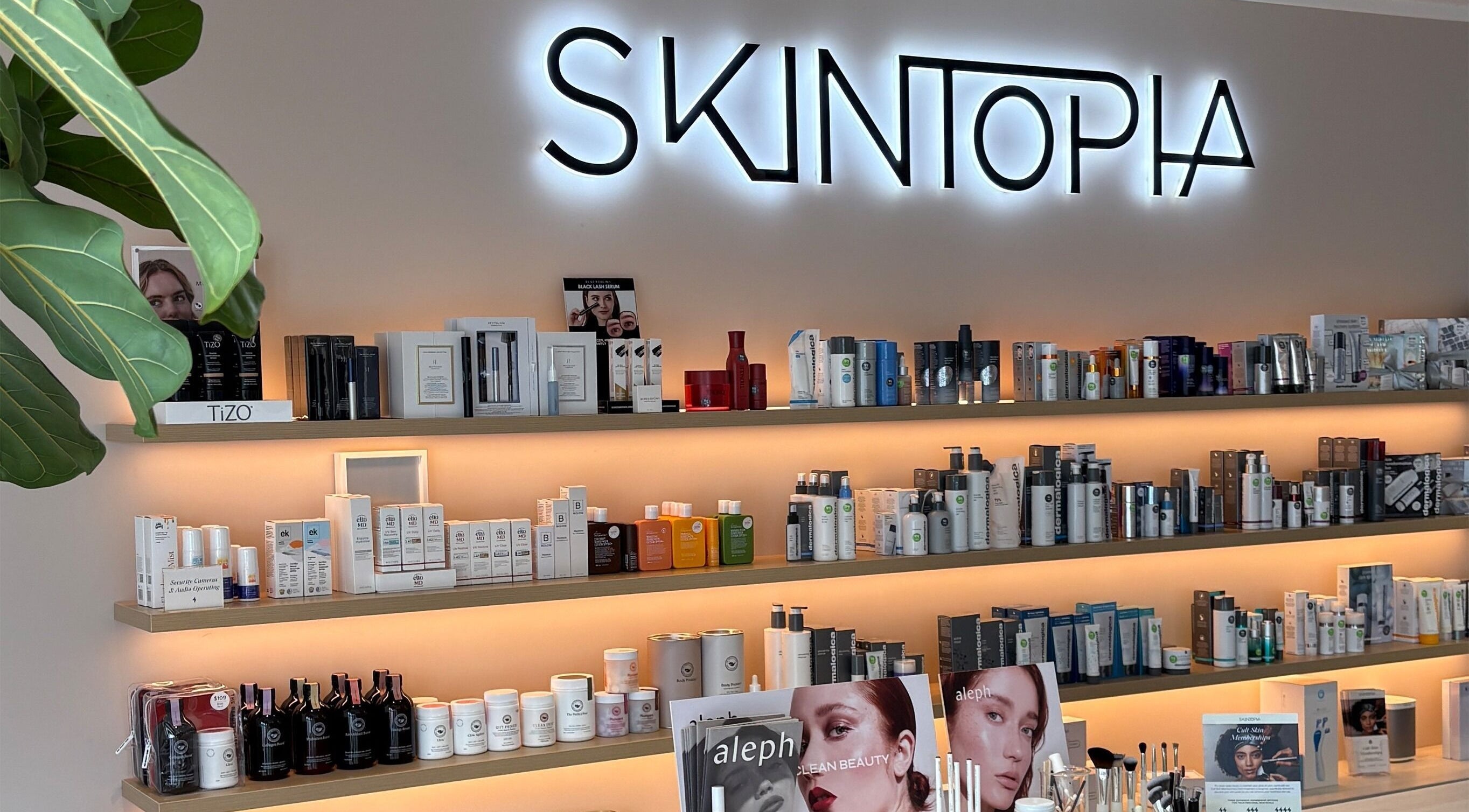 Product shelves at Skintopia - Milford, located in Auckland, Auckland, NZ. Showcasing beauty and wellness products.