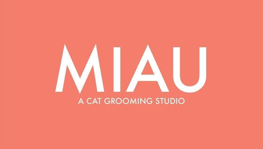 Immagine 1, MIAU - Cat Grooming Salon