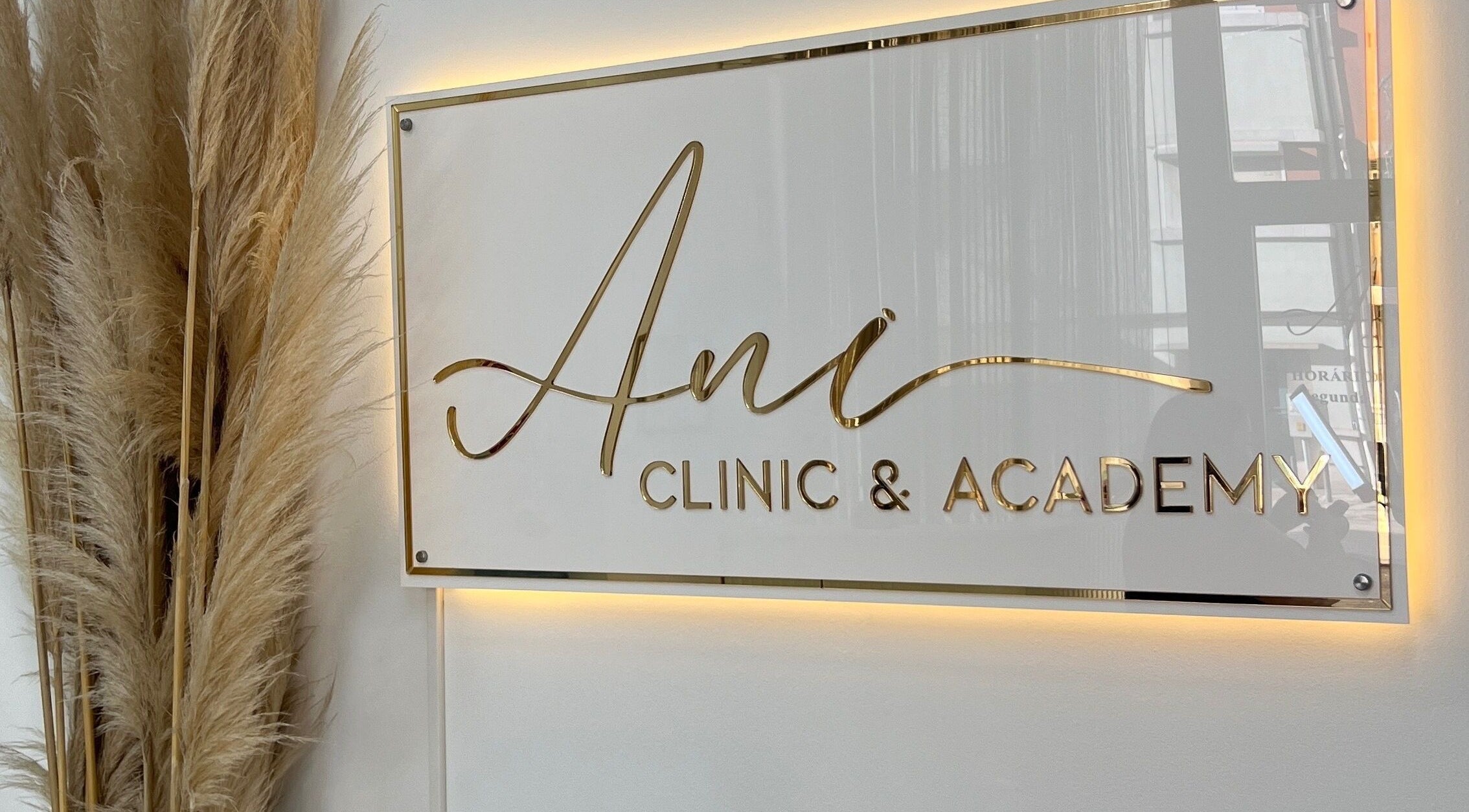 Placa elegante da Ani Clinic & Academy em Lisboa, Lisboa, PT com design moderno.