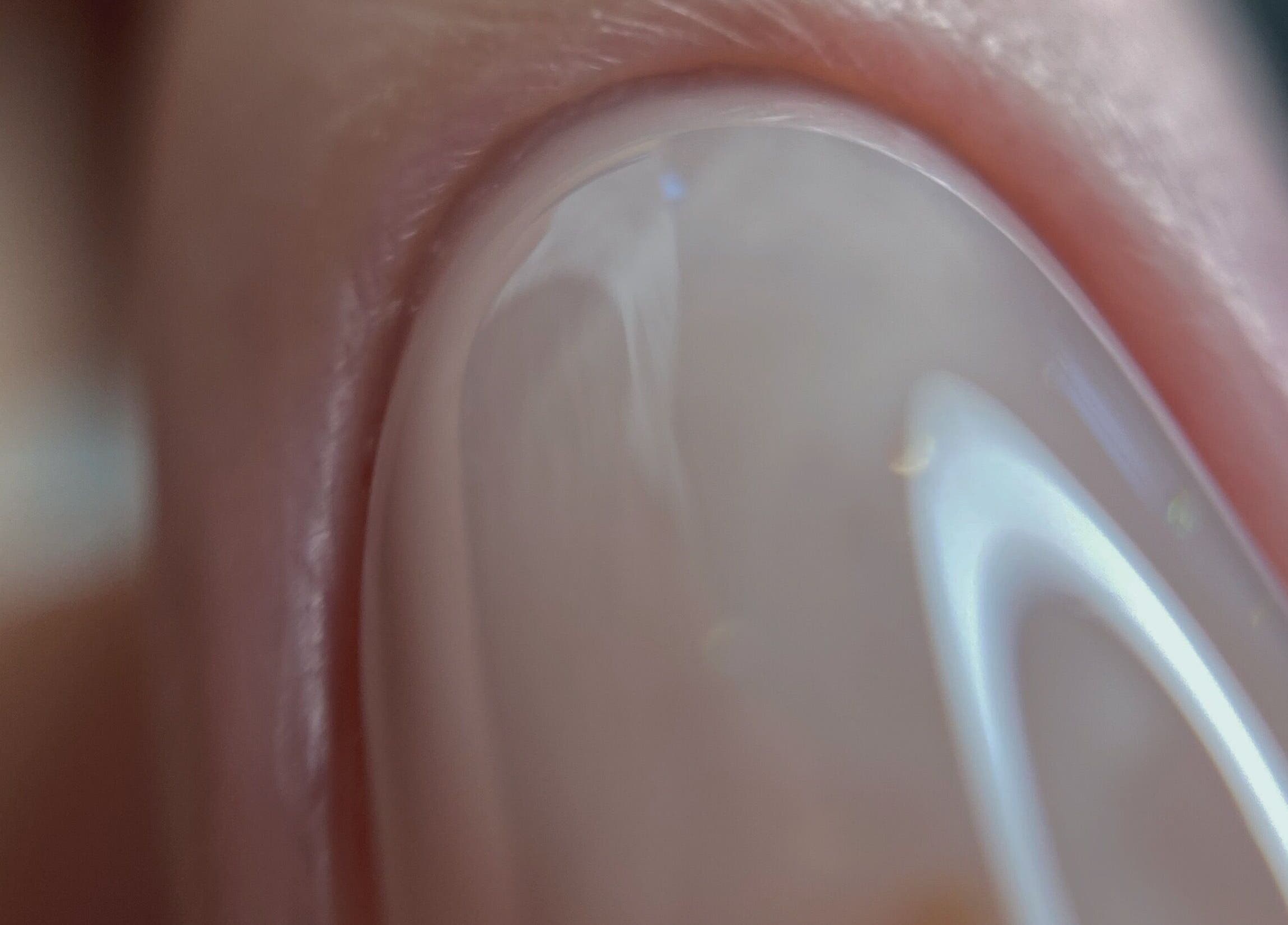 Close-up of a glossy manicured nail at Beauty space by Lelya Magay, Limerick, County Limerick, IE.