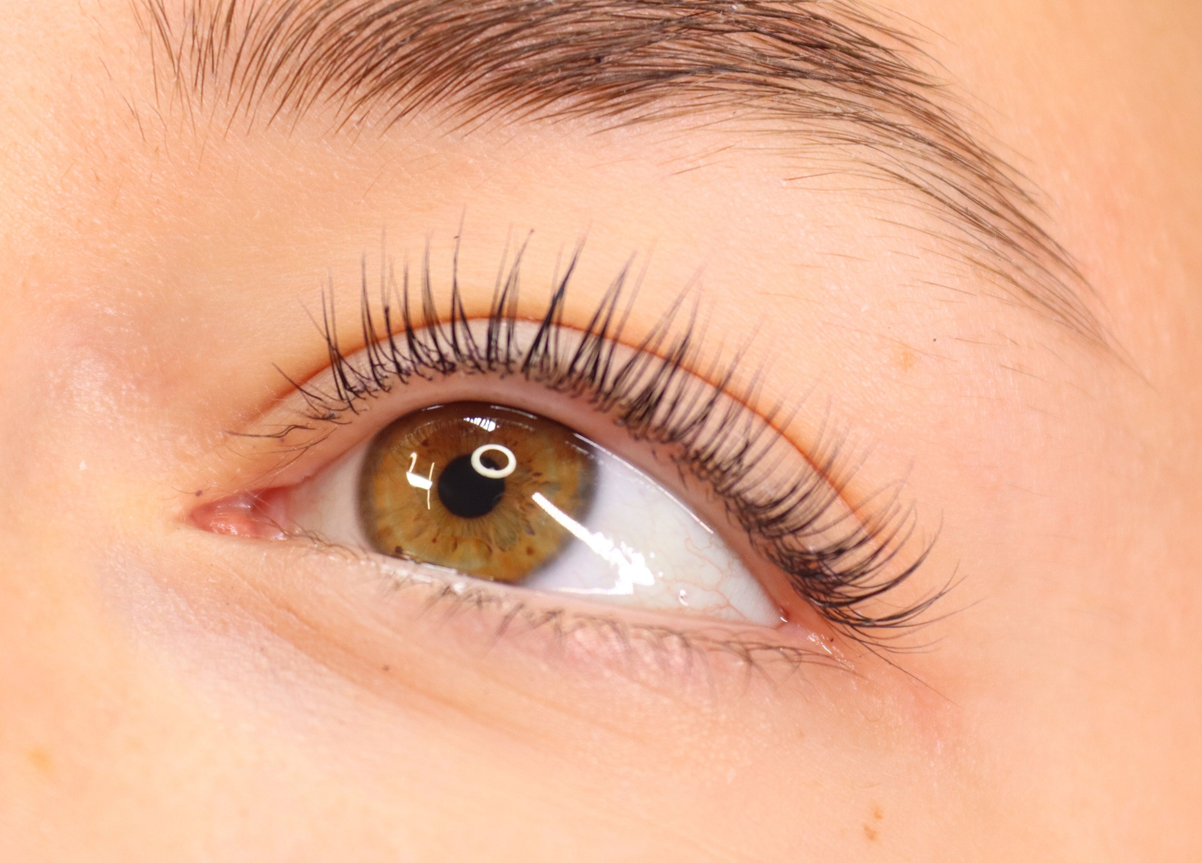 Close-up of perfectly styled eyelashes at Studio 10 Beauty Boreham in Chelmsford, England, GB.