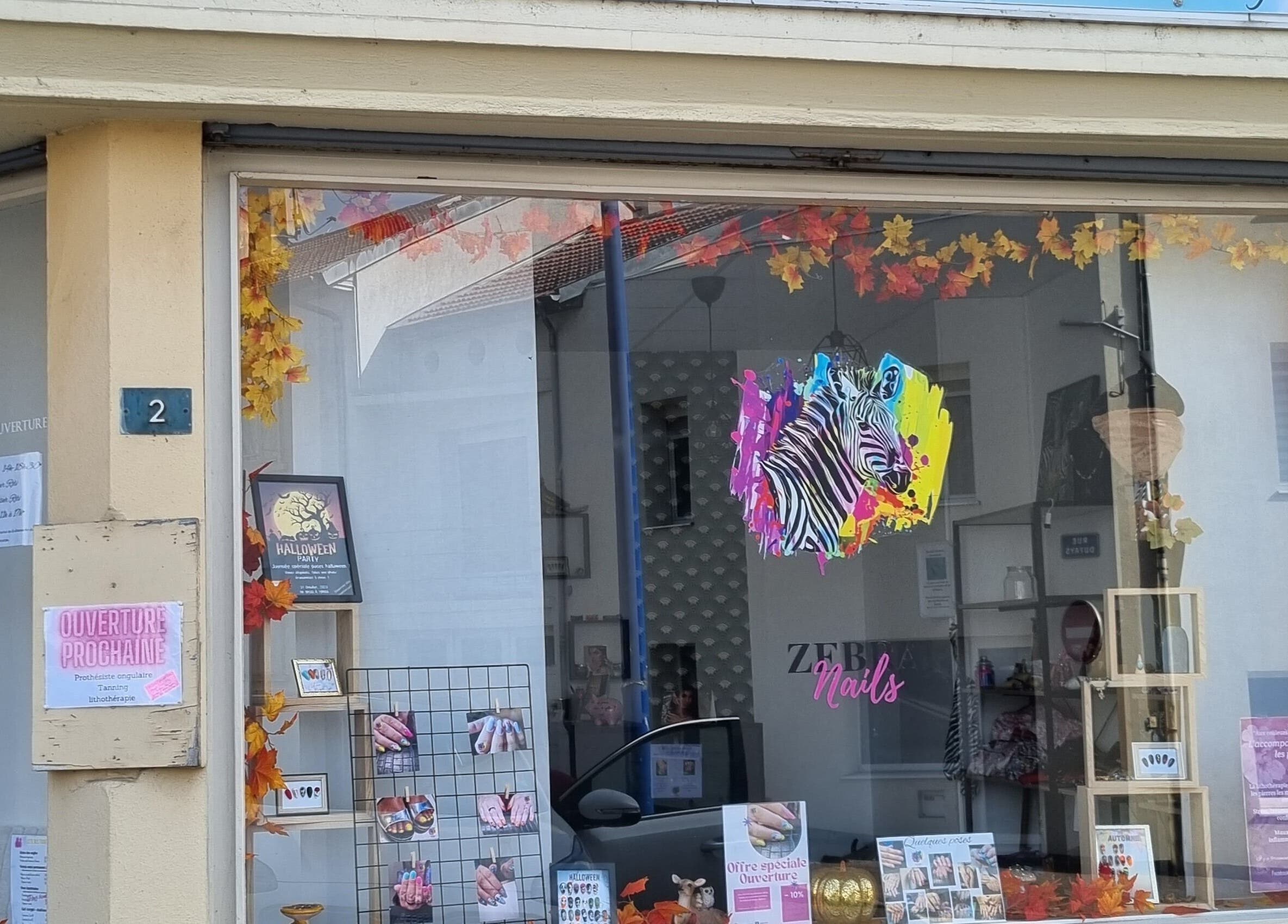Vitrine de Zebra à Château-salins, Grand Est, FR, avec décor automnal vibrant et affiches colorées.