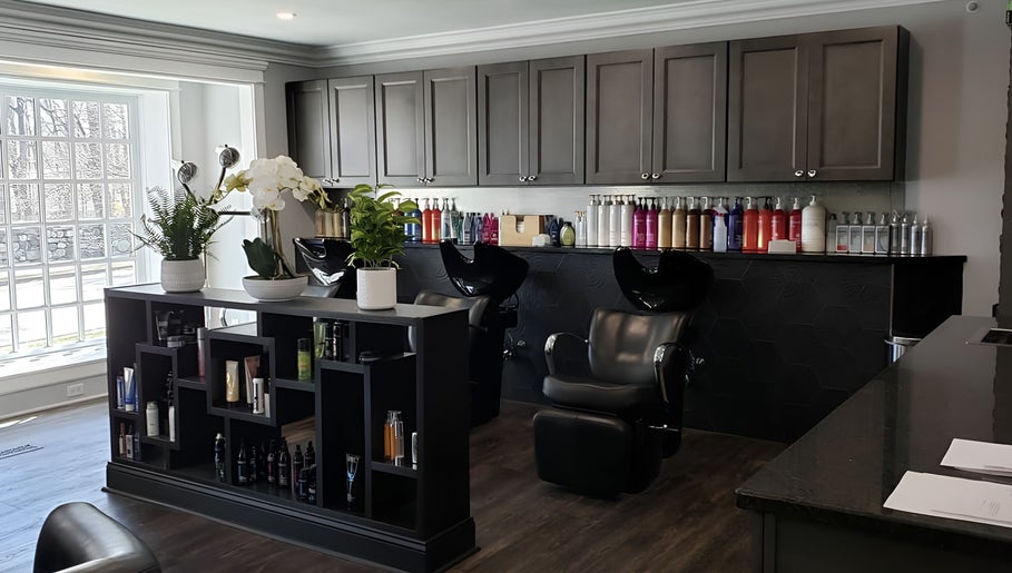 Paris Salon billede 1