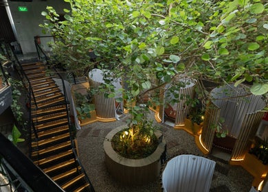 Lush indoor garden with ambient lighting at Aurora Spa I أورورا سبا, Riyadh, Riyadh Province, SA.