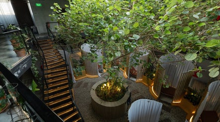 Lush indoor garden with ambient lighting at Aurora Spa I أورورا سبا, Riyadh, Riyadh Province, SA.