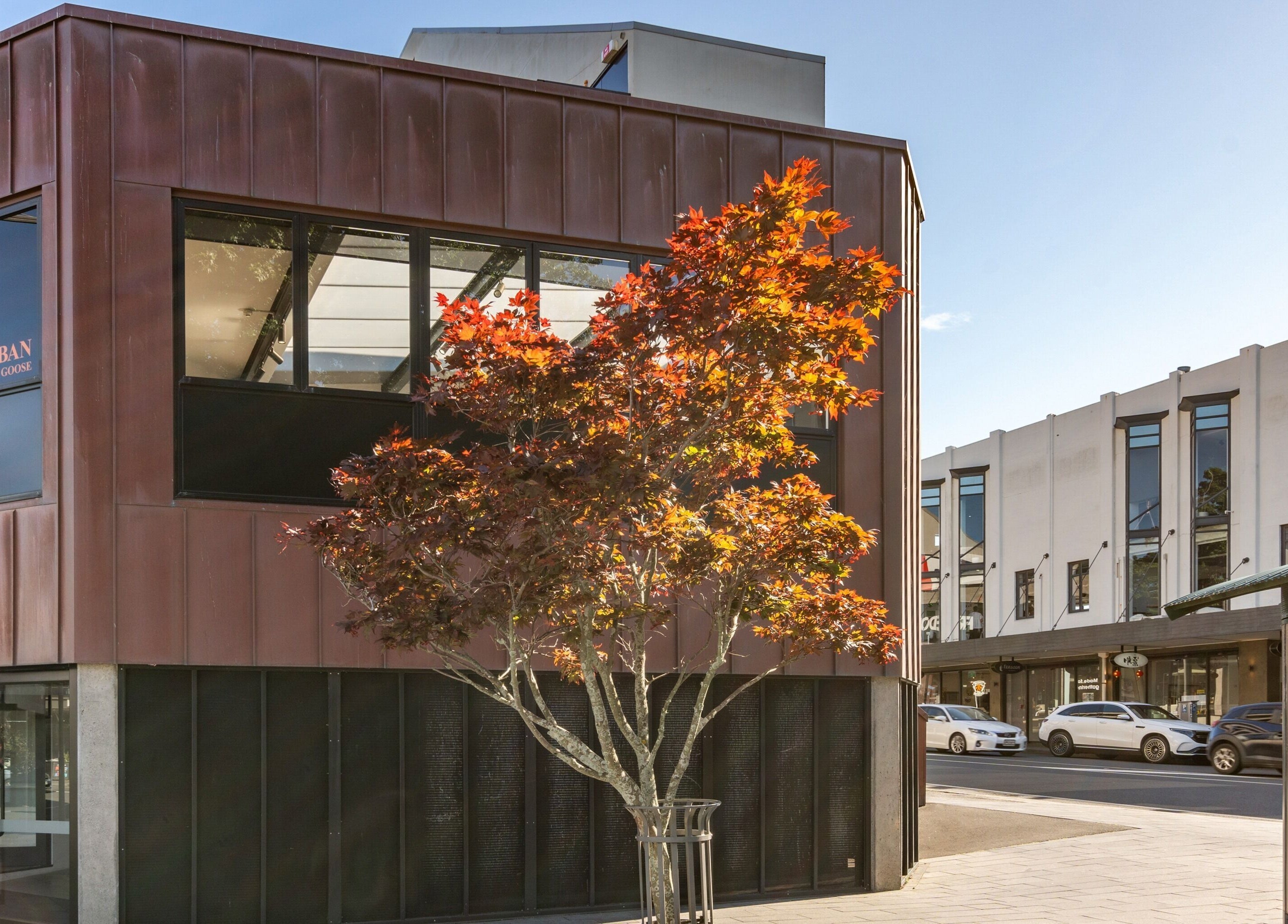 Urban Goose venue with modern copper facade in Auckland, Auckland, NZ, featuring a vibrant maple tree.