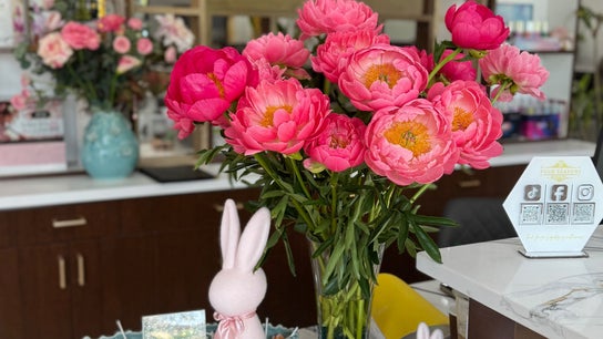 Four Seasons Nails and Spa Sherwood